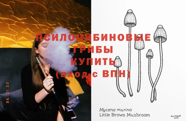 2c-b Бронницы